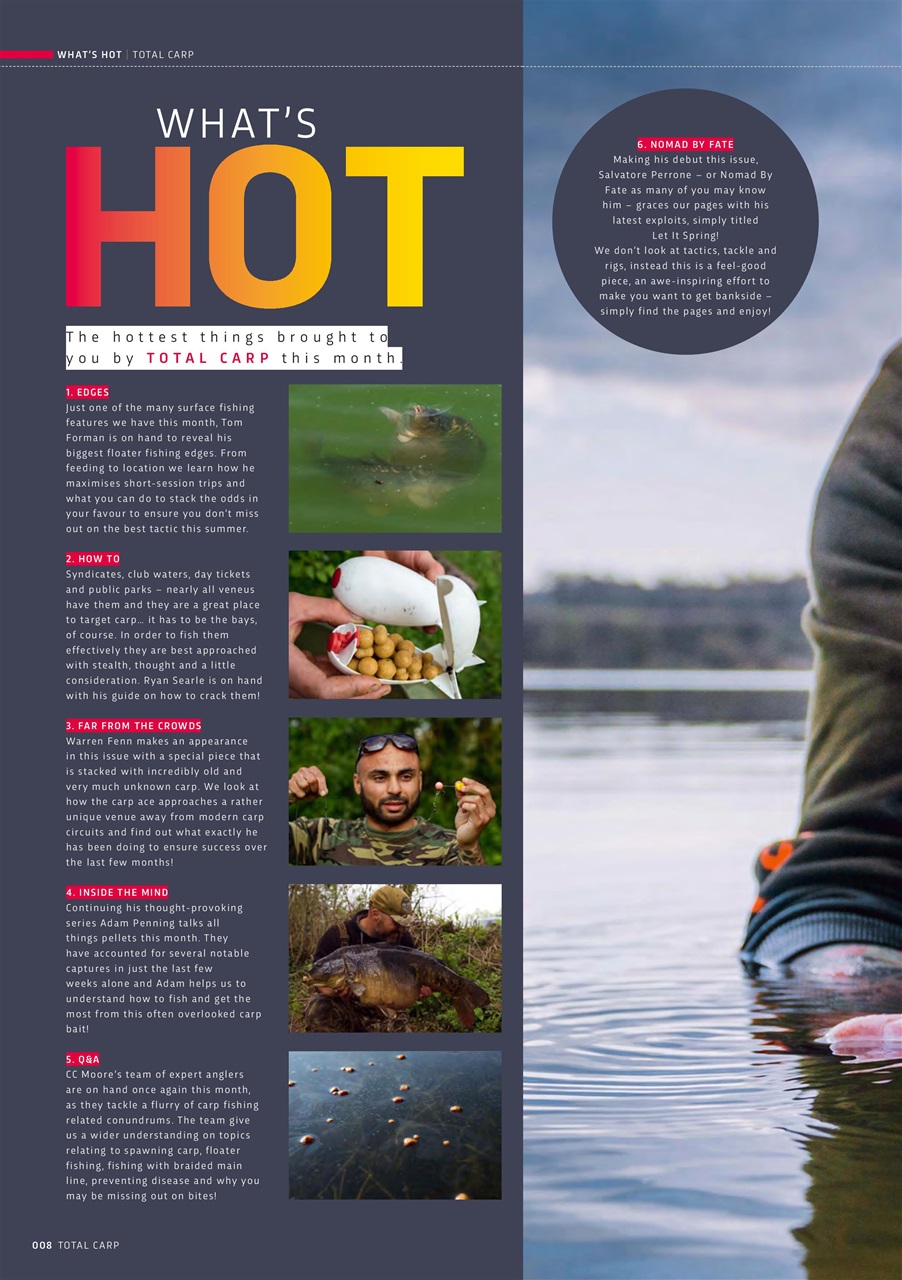 Total Carp Preview Pages