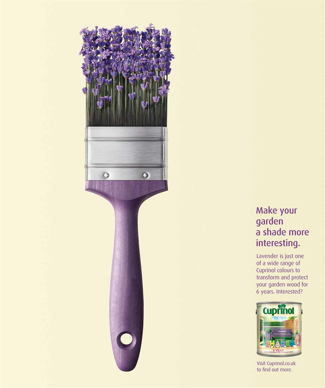 Olive Magazine Preview Pages