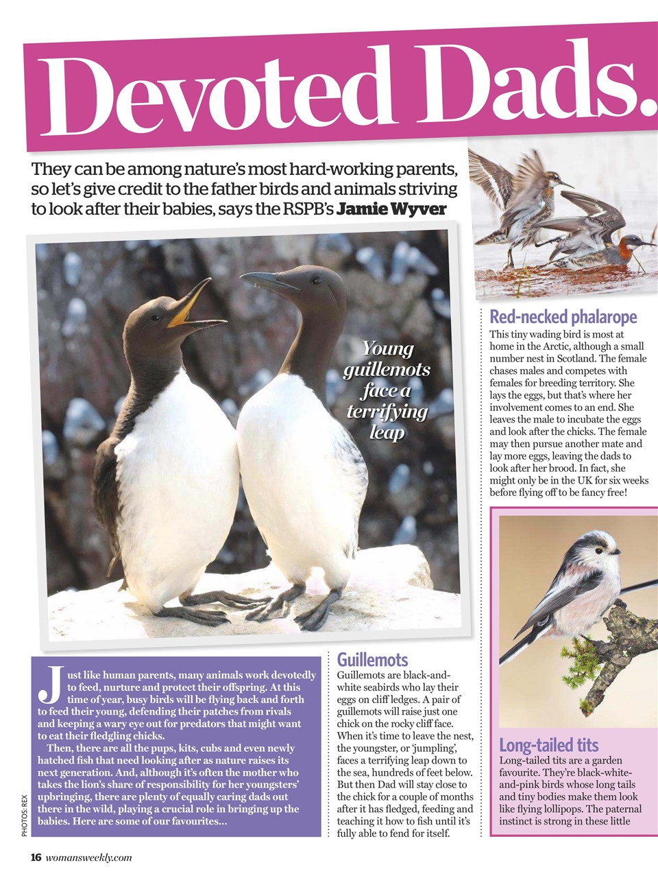 Woman's Weekly Preview Pages