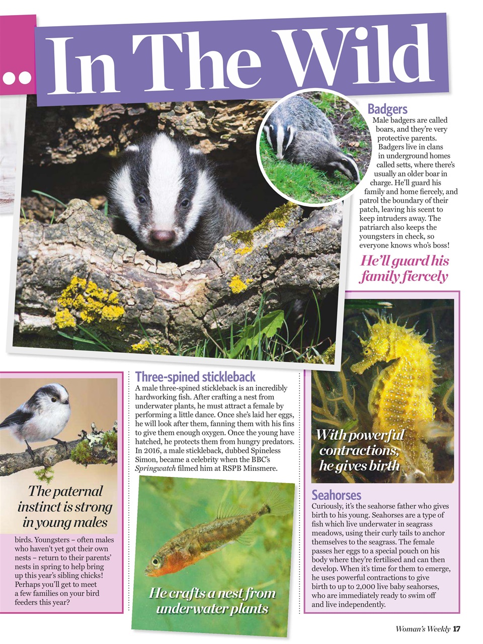 Woman's Weekly Preview Pages