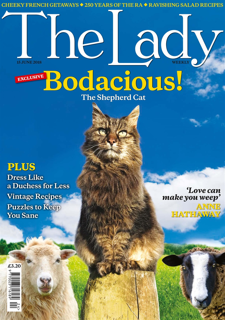 The Lady Preview Pages