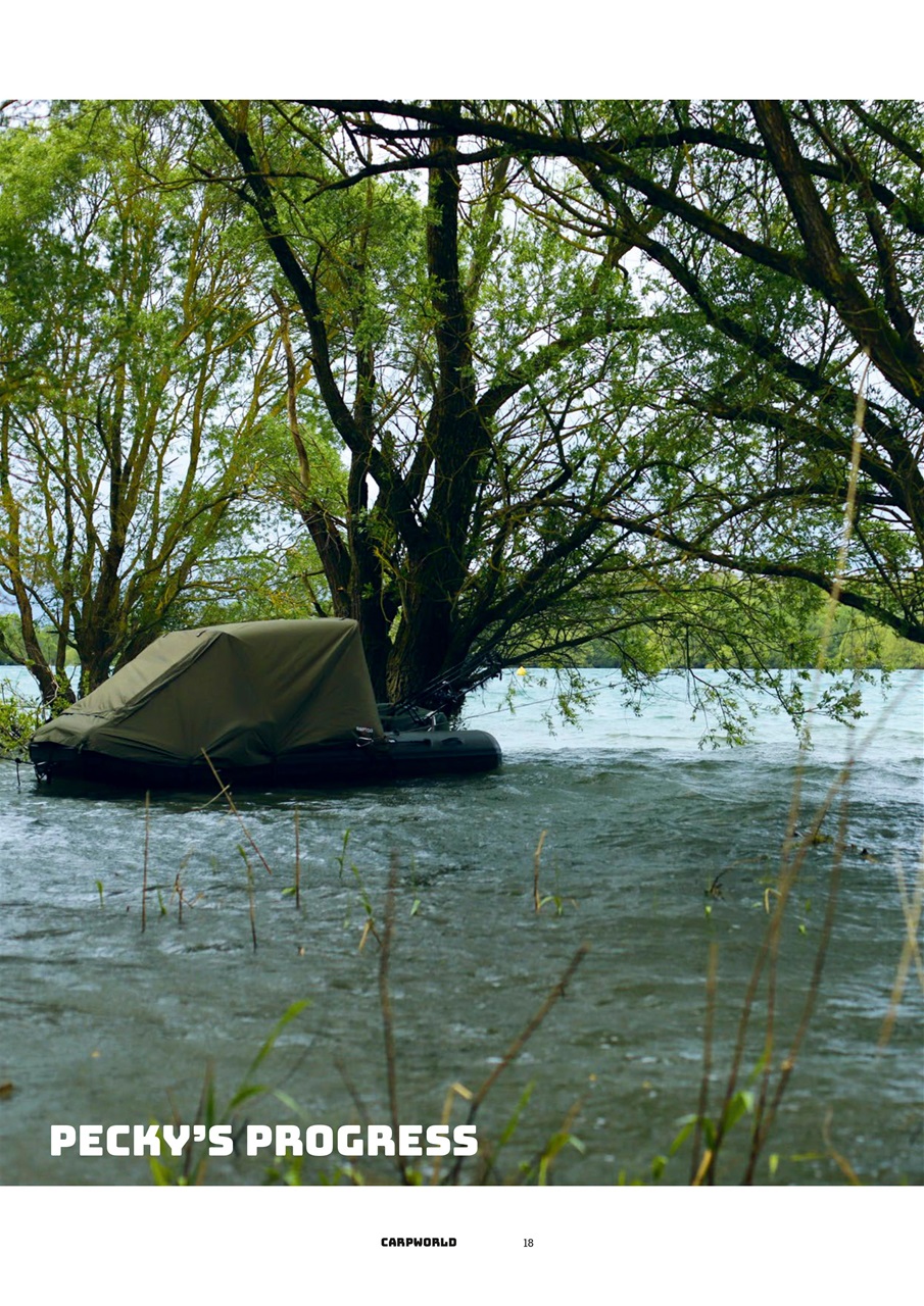 Carpworld Preview Pages