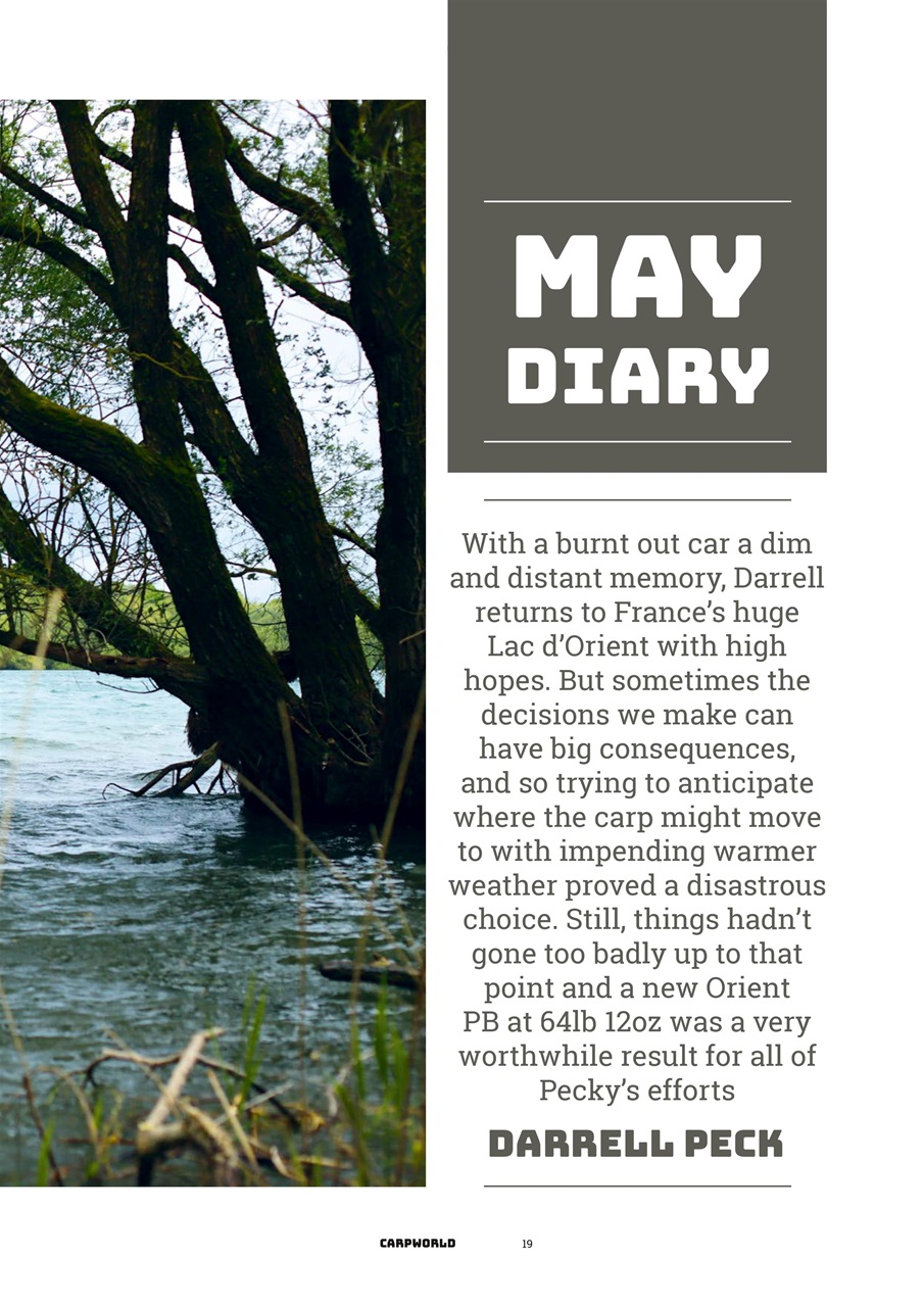 Carpworld Preview Pages