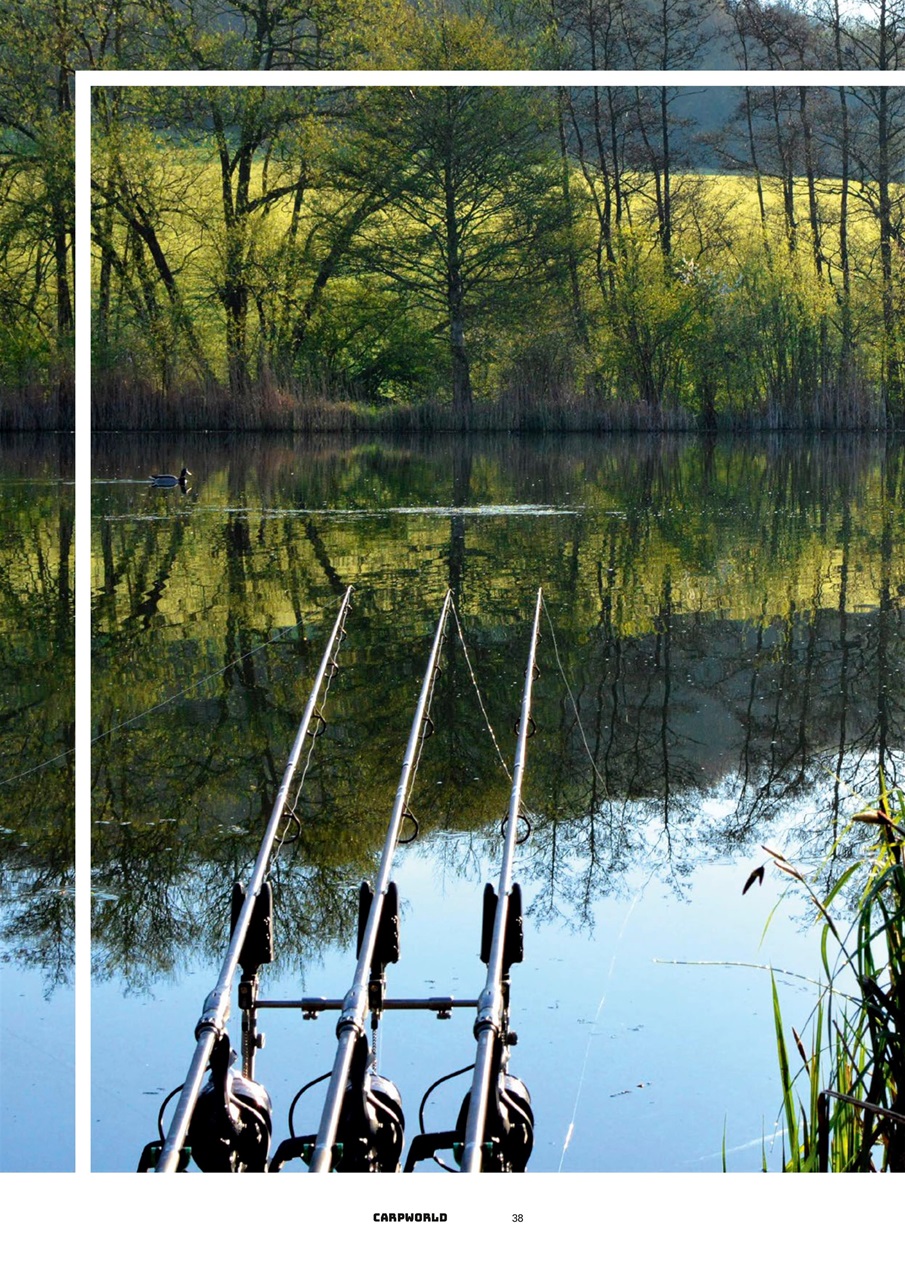 Carpworld Preview Pages