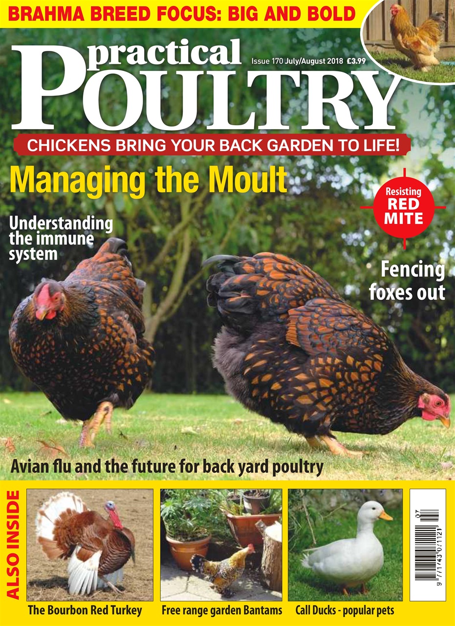 Practical Poultry Preview Pages