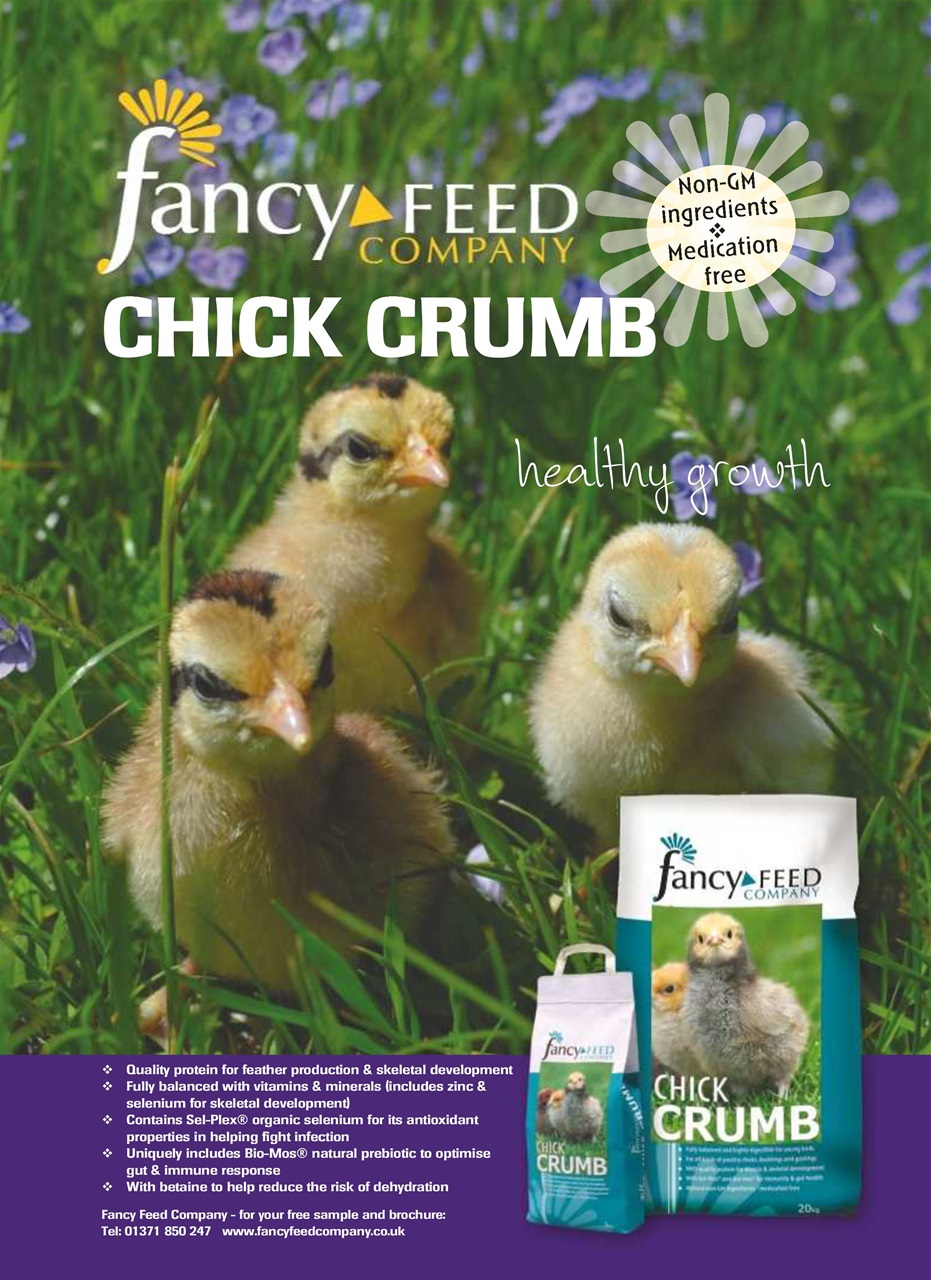 Practical Poultry Preview Pages