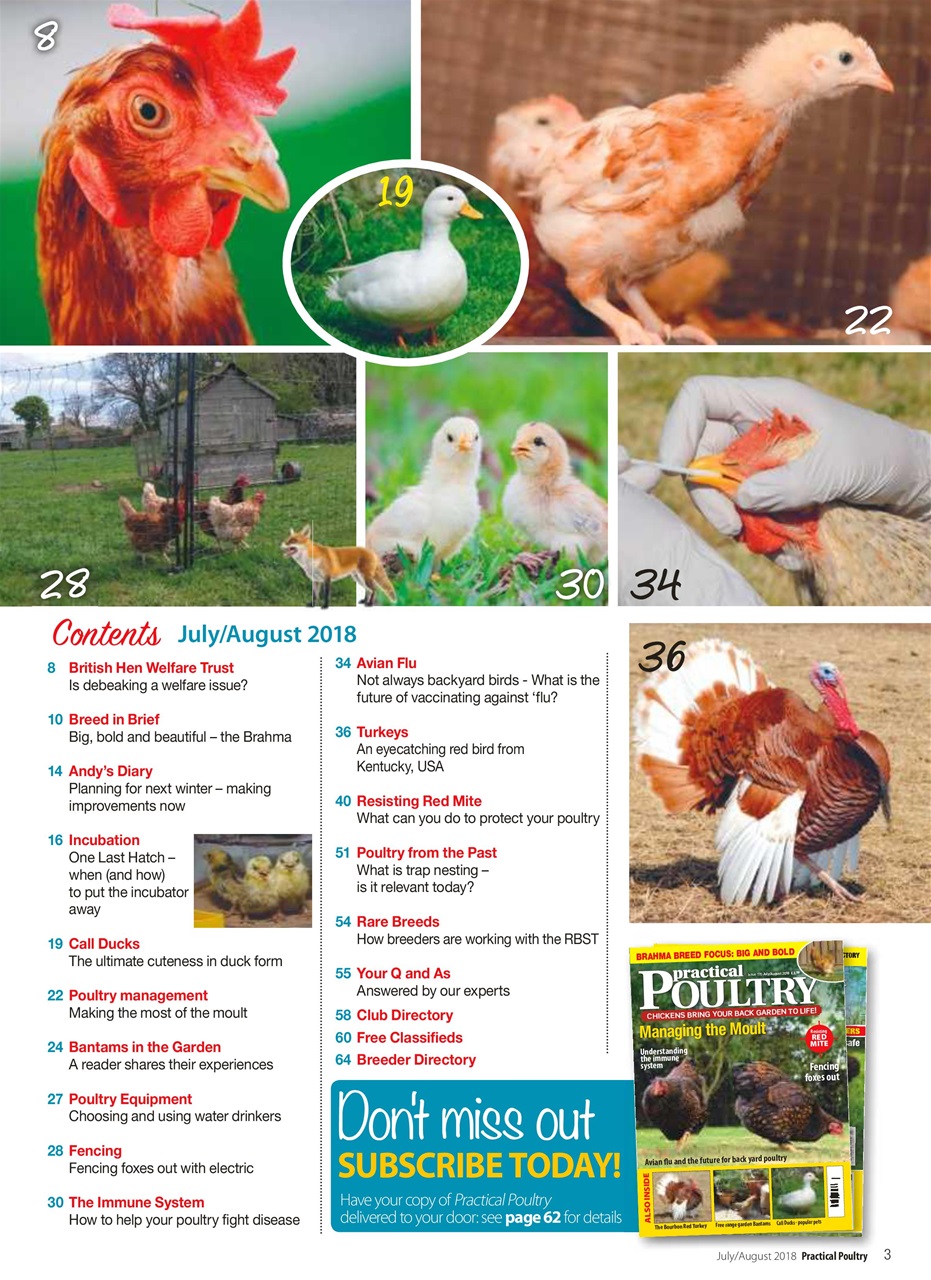 Practical Poultry Preview Pages