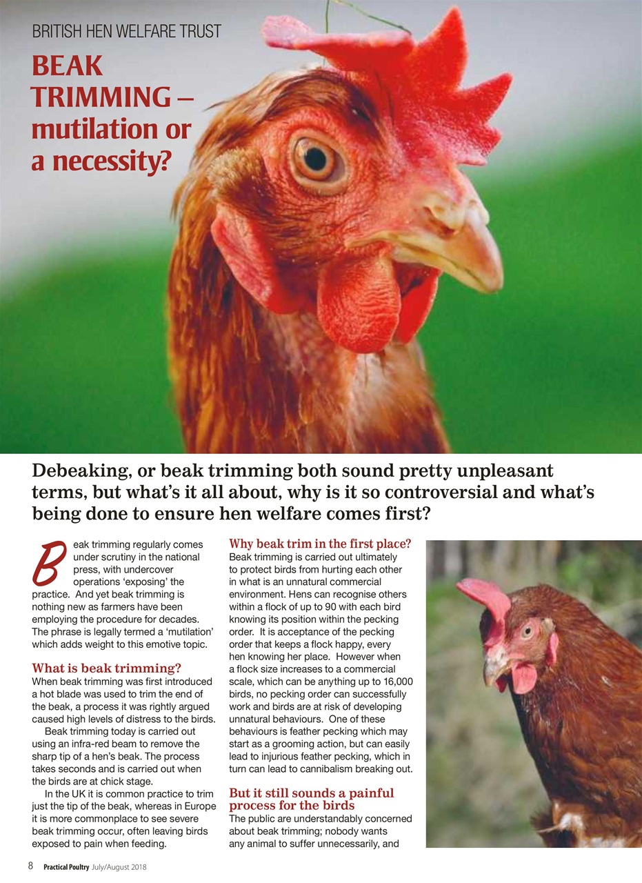 Practical Poultry Preview Pages
