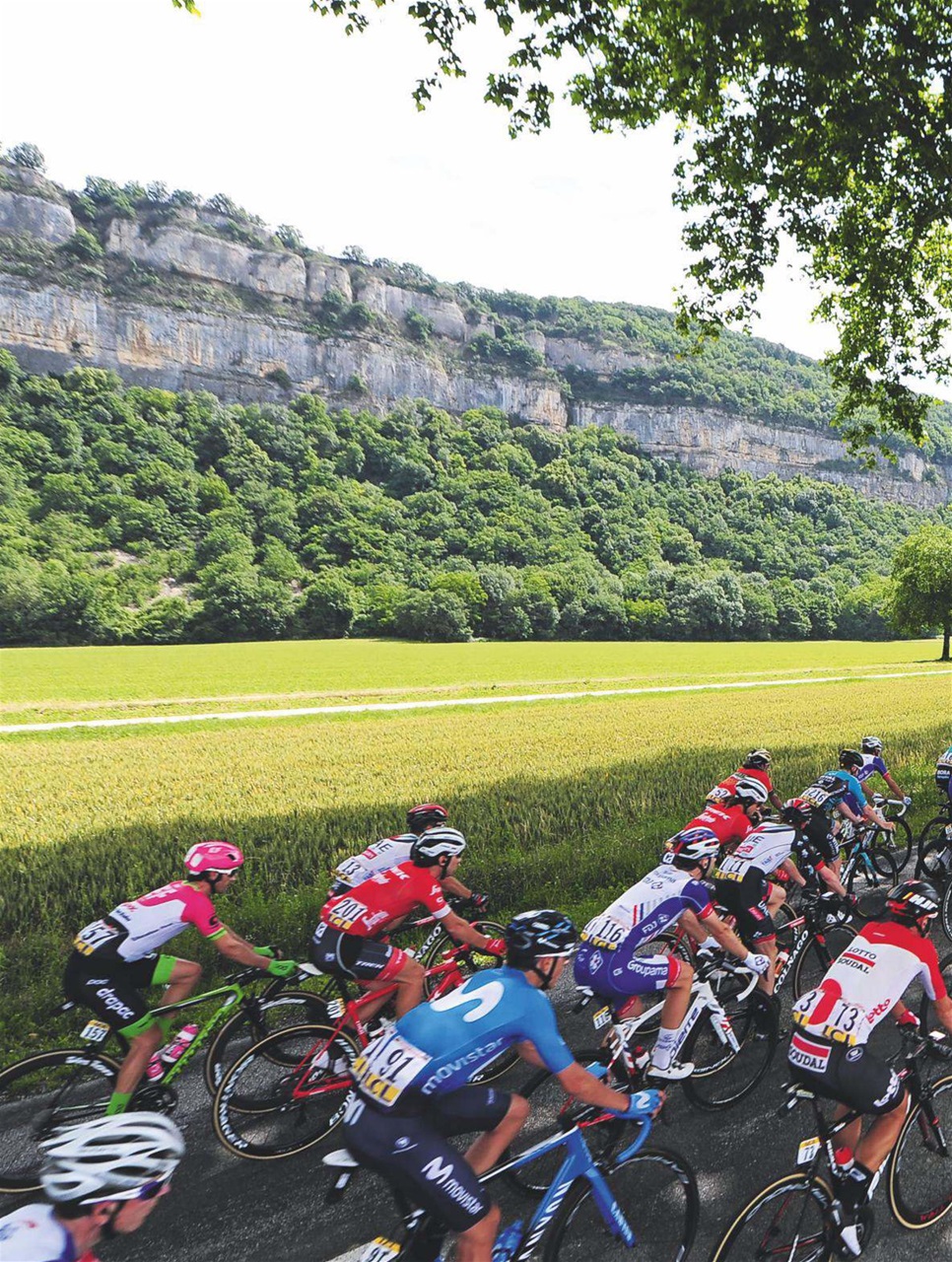 Cycling Weekly Preview Pages