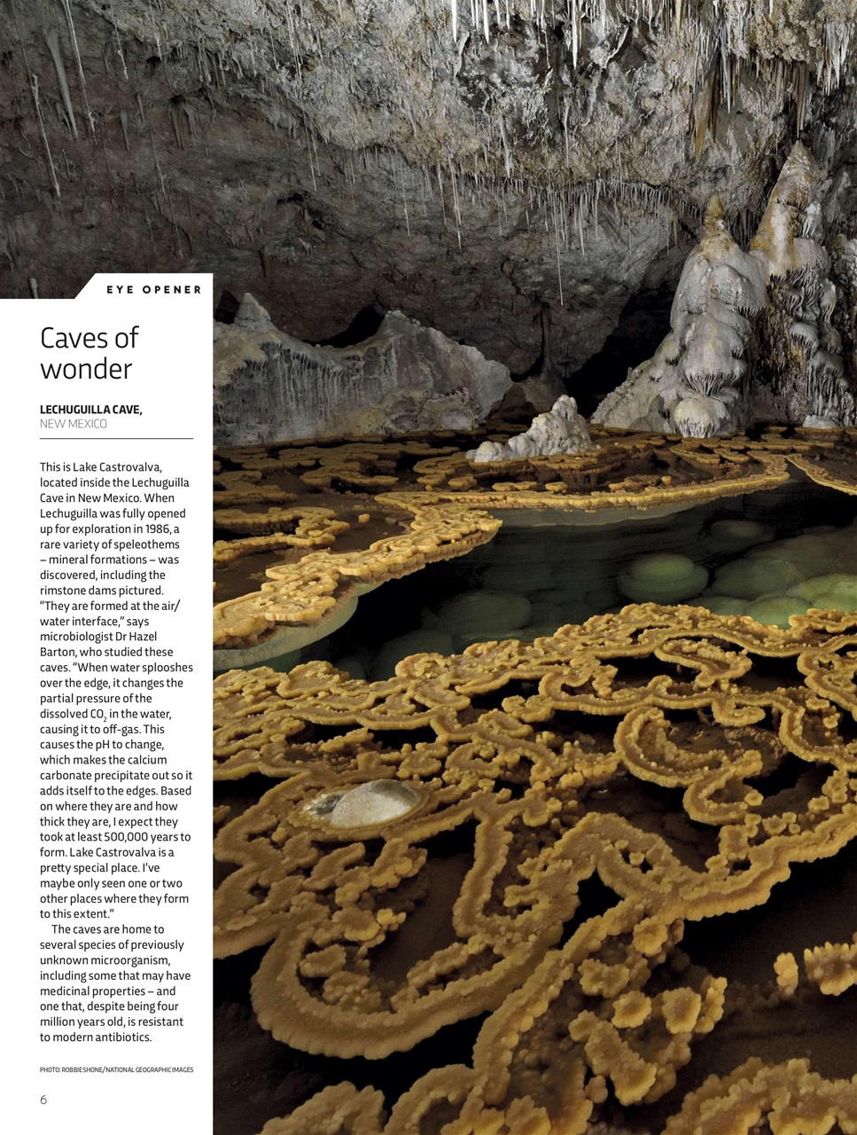 BBC Science Focus Magazine Preview Pages