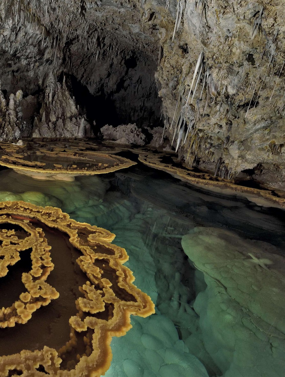 BBC Science Focus Magazine Preview Pages