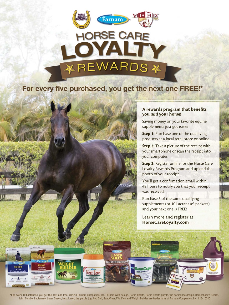 Horse Illustrated Magazine Preview Pages