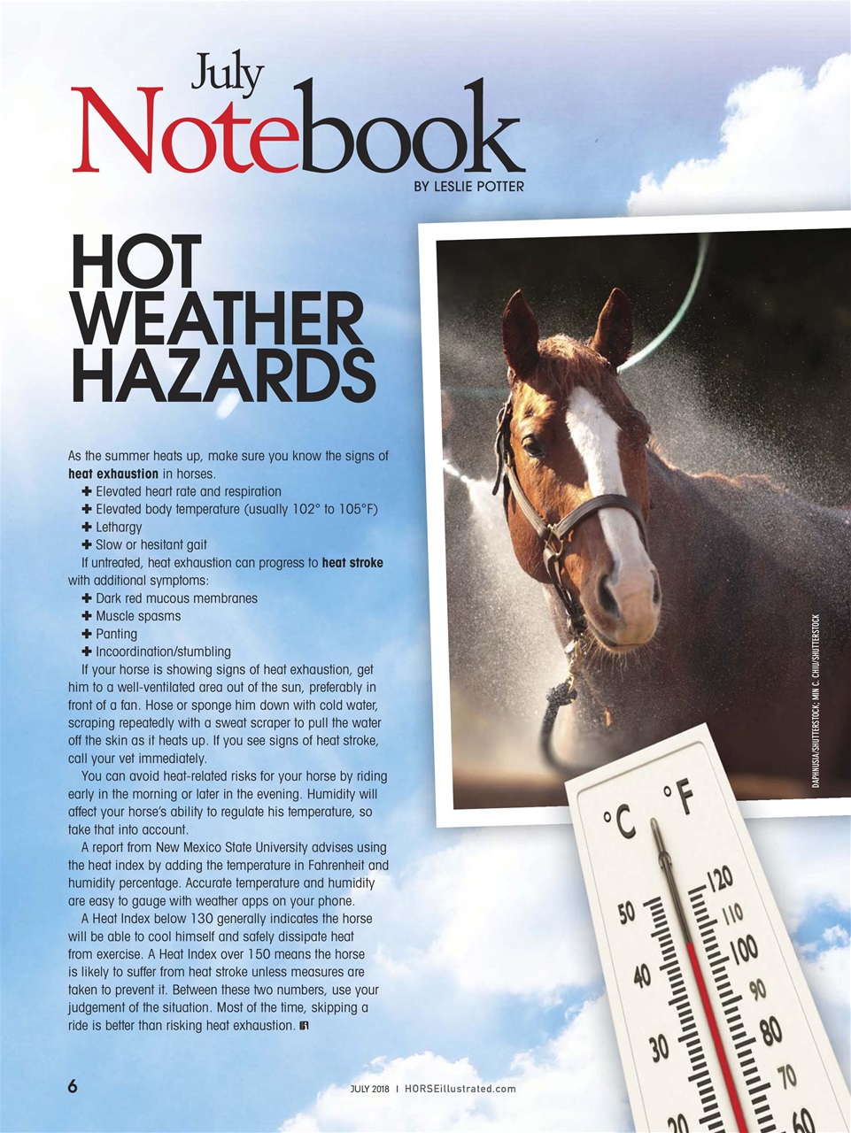 Horse Illustrated Magazine Preview Pages