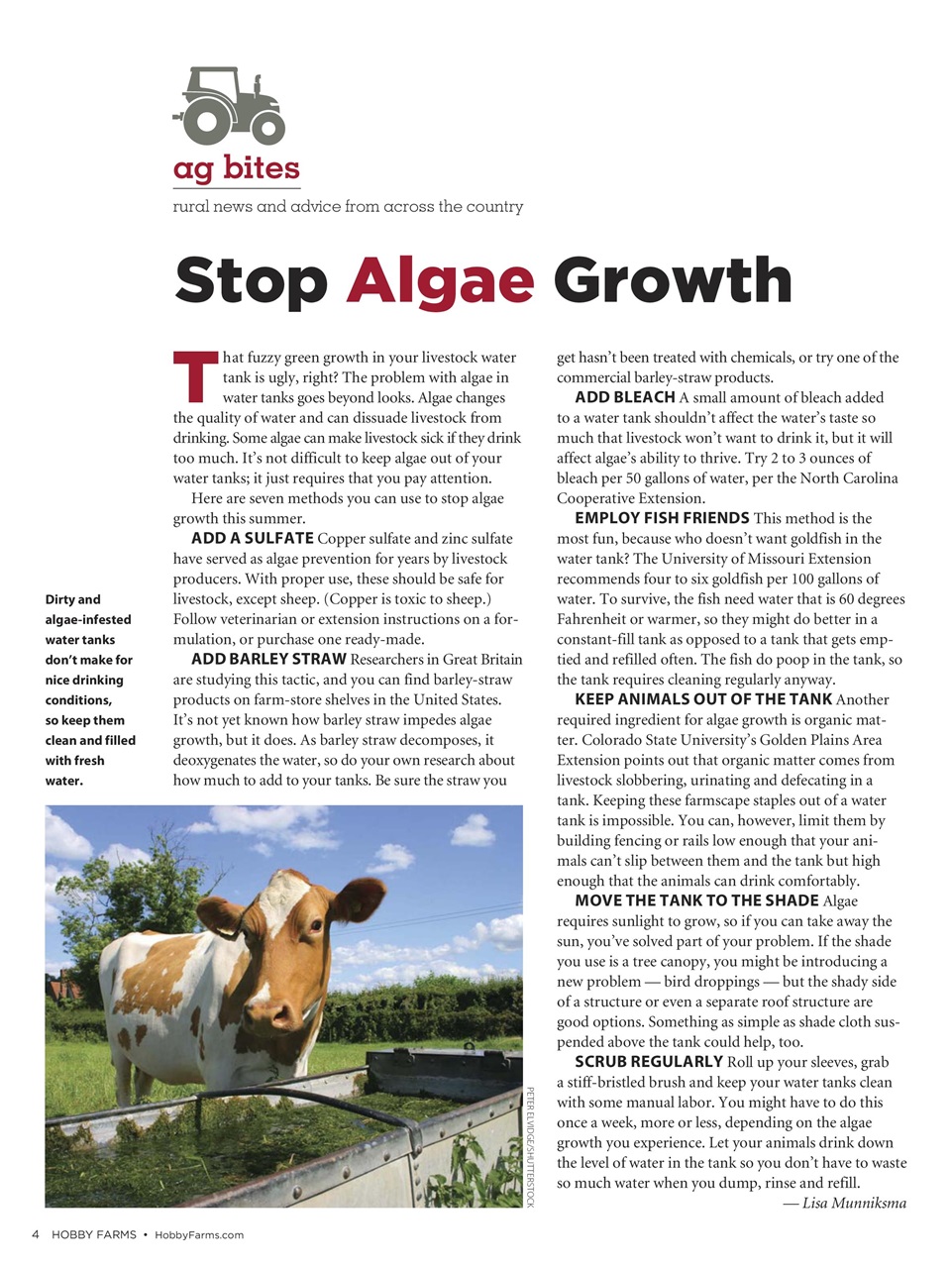 Hobby Farms Magazine Preview Pages