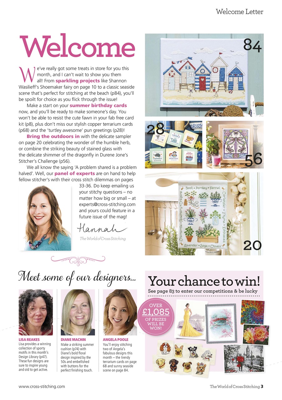 The World of Cross Stitching Preview Pages