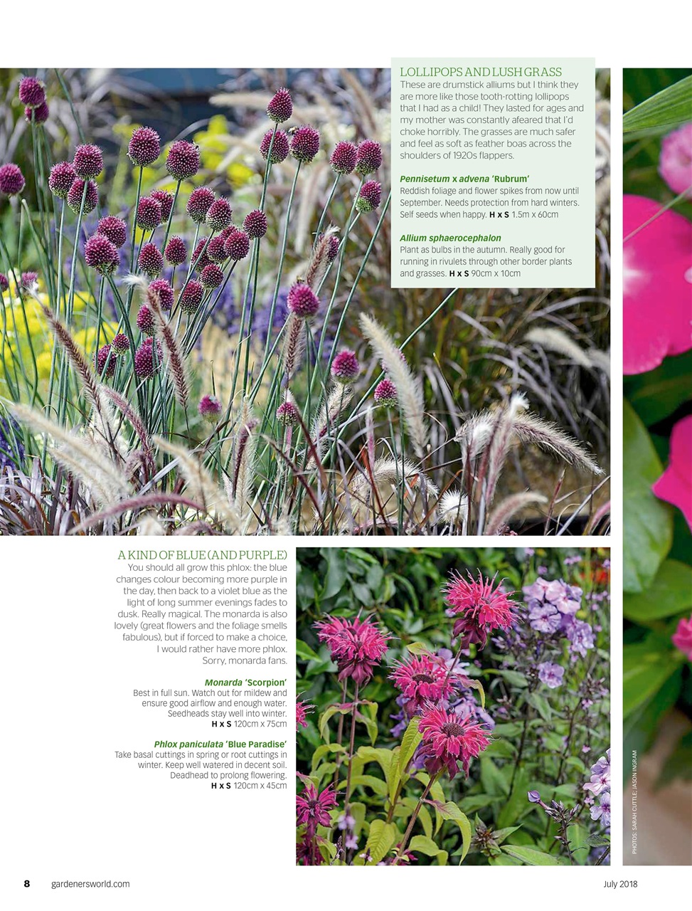 BBC Gardeners’ World Magazine Preview Pages