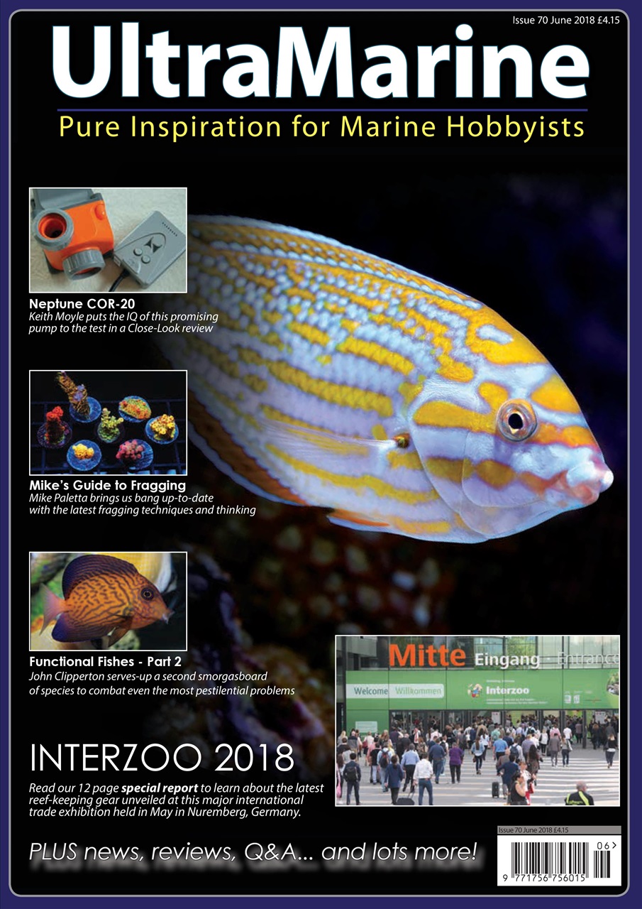 UltraMarine Magazine Preview Pages