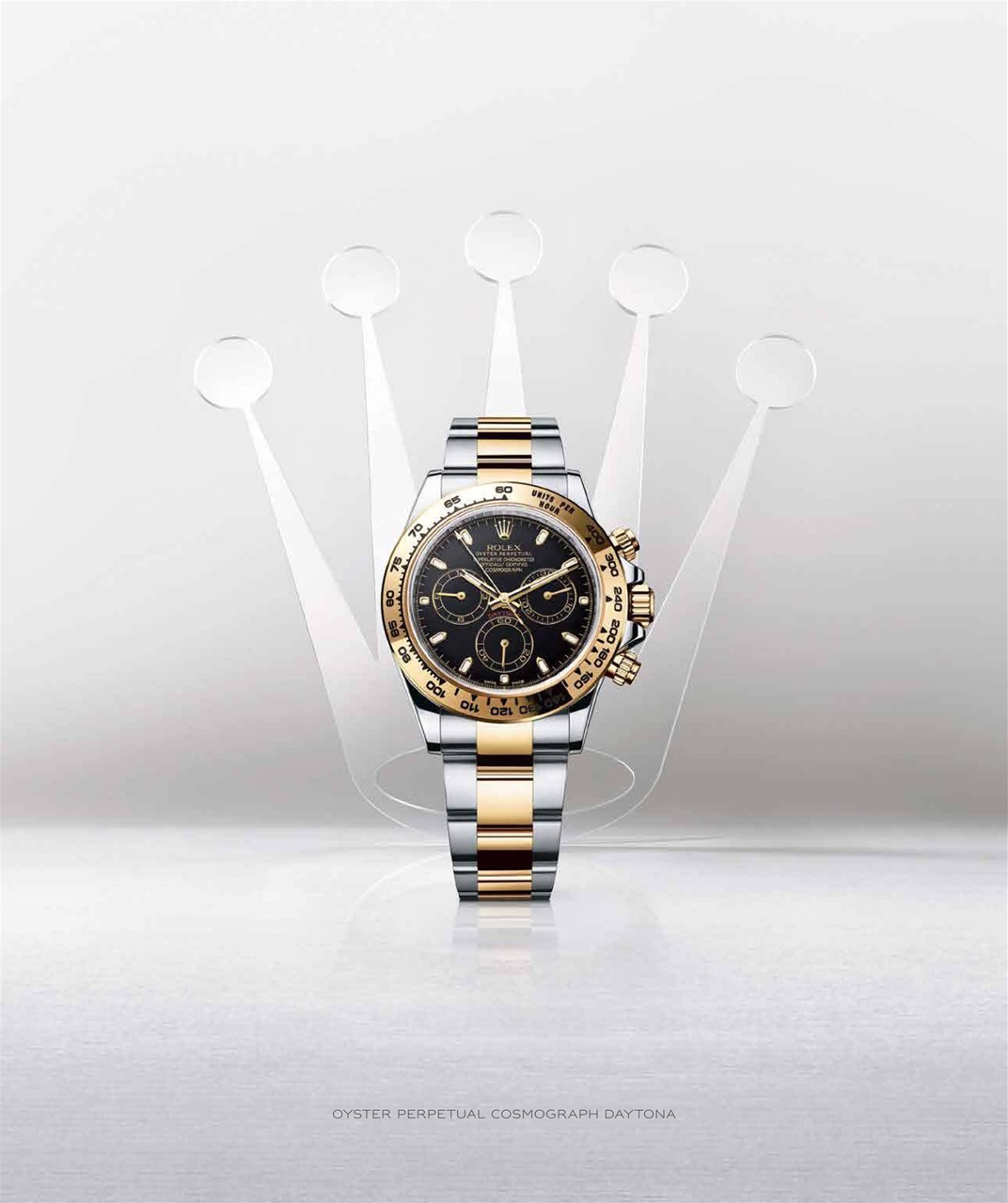 Avenue Calgary Preview Pages