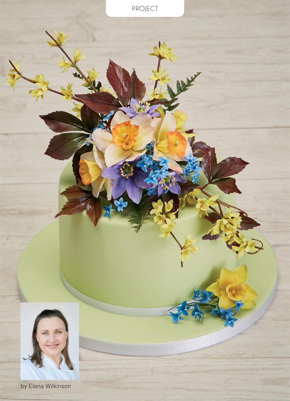 Cakes & Sugarcraft Preview Pages