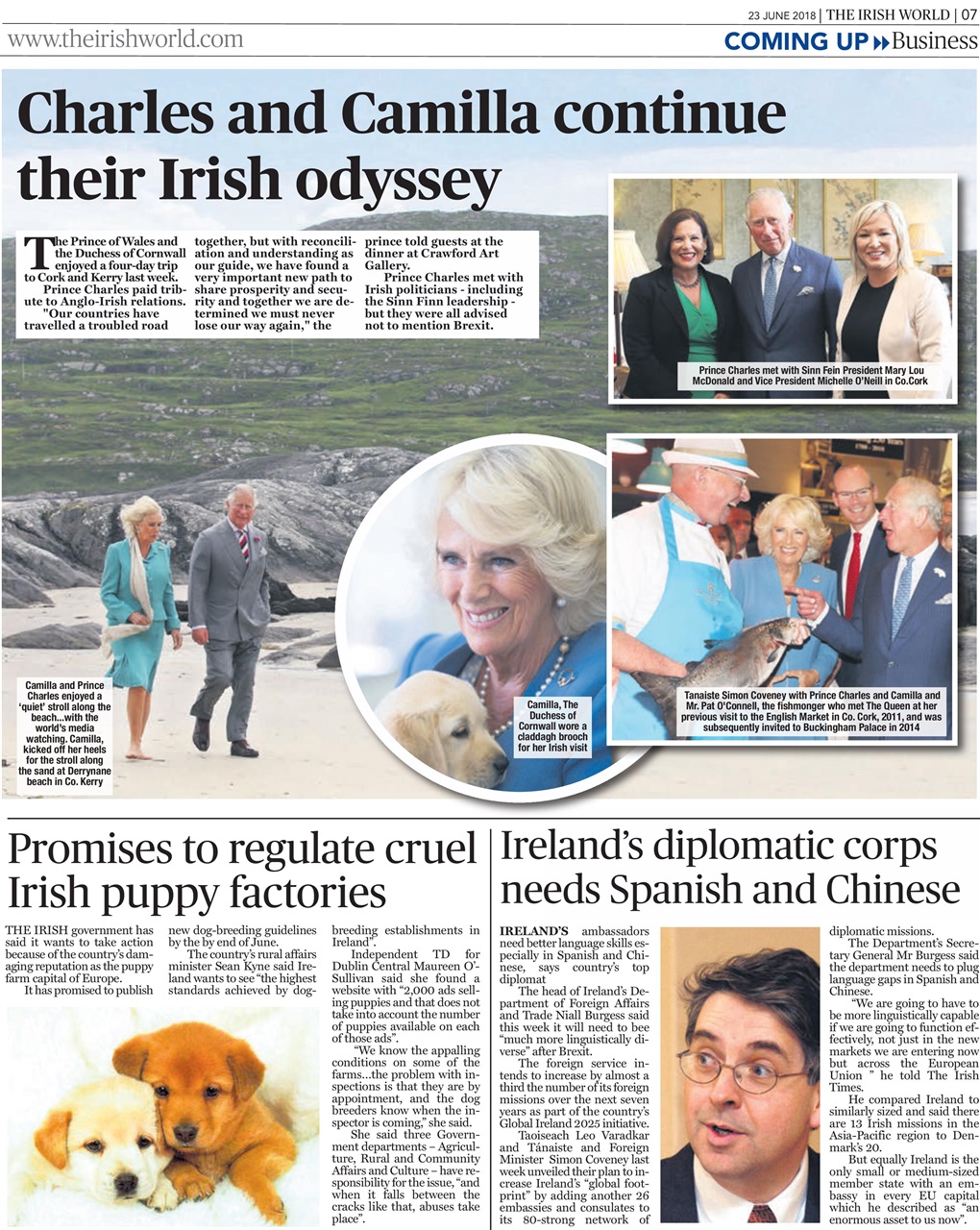 Irish World Preview Pages