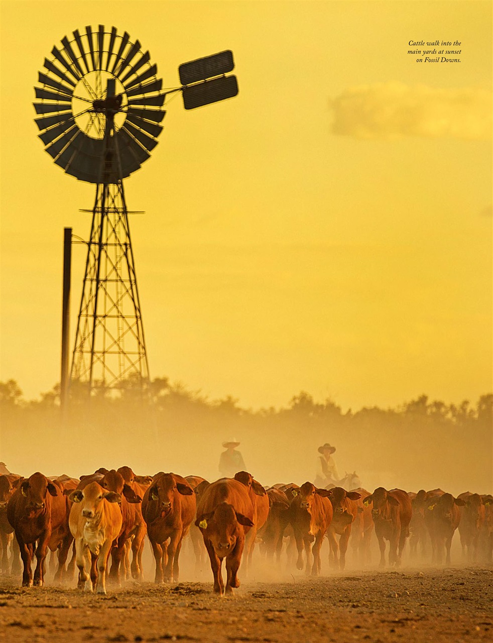 OUTBACK Magazine Preview Pages