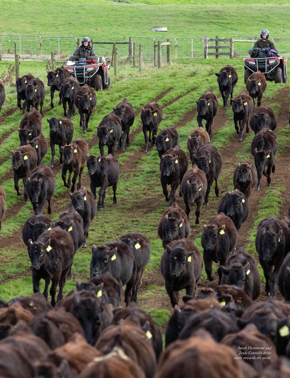 OUTBACK Magazine Preview Pages