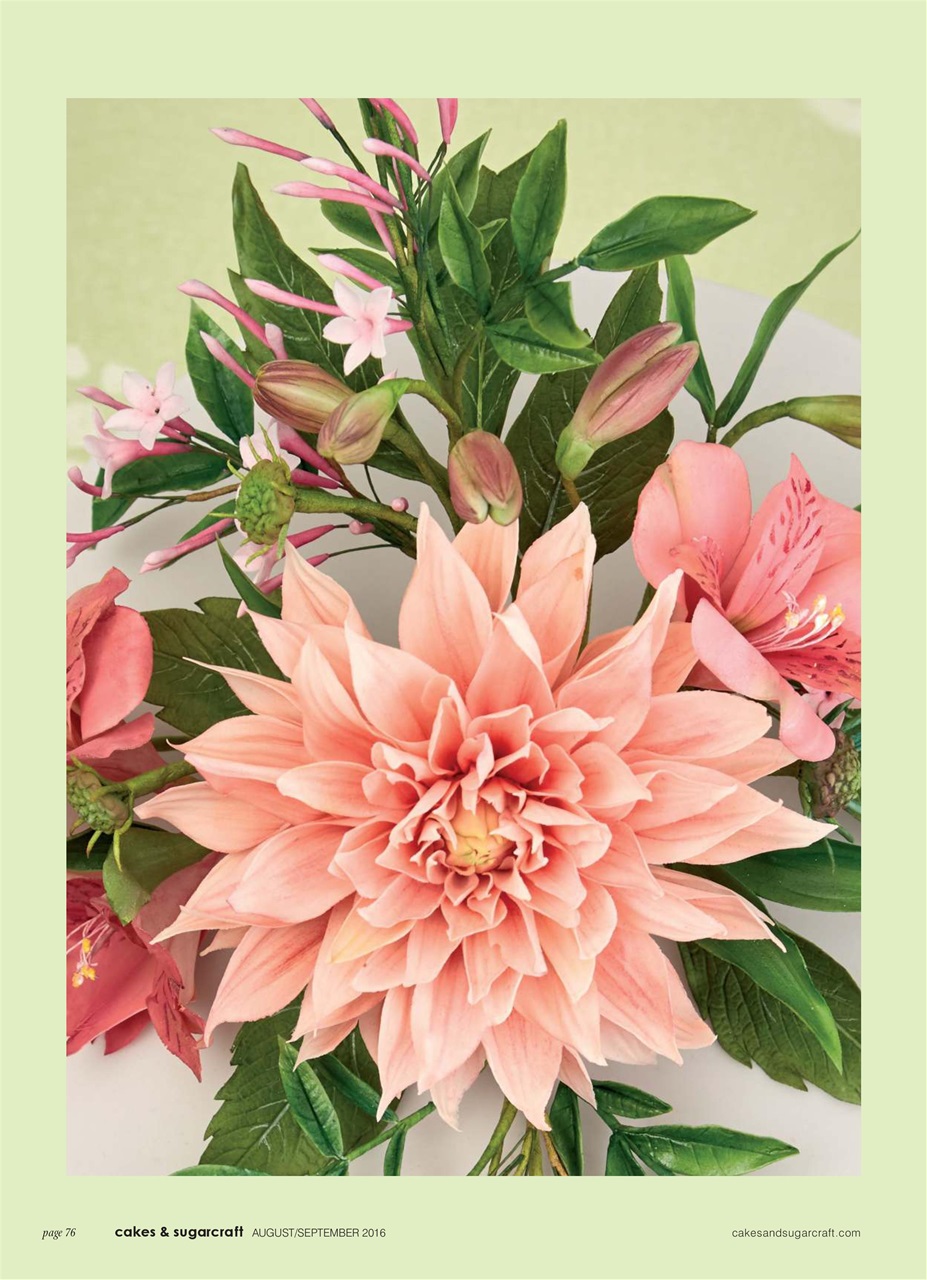 Cakes & Sugarcraft Preview Pages