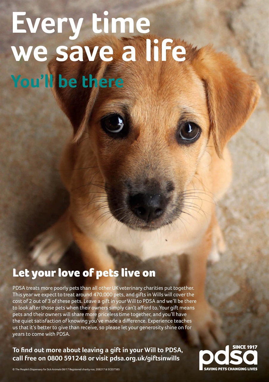 The Lady Preview Pages