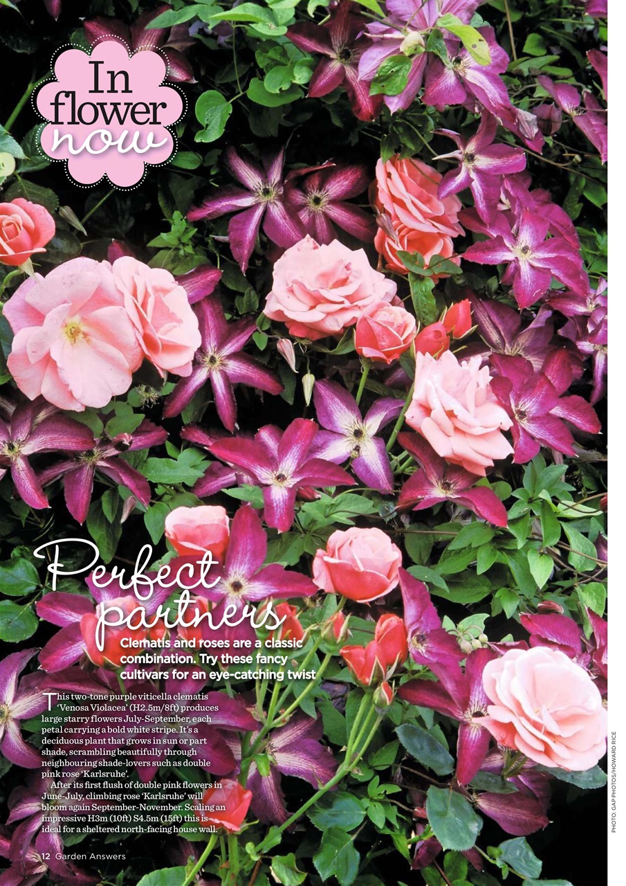 Garden Answers Preview Pages