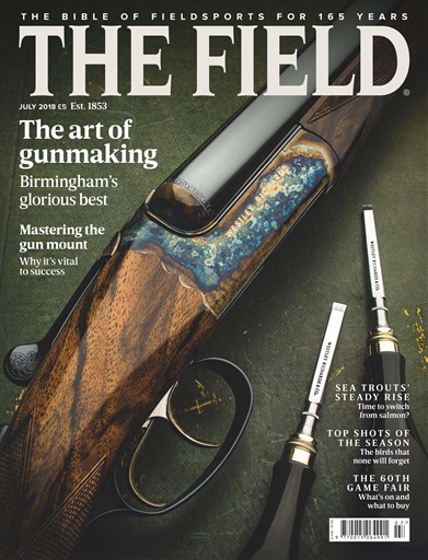 The Field issue 