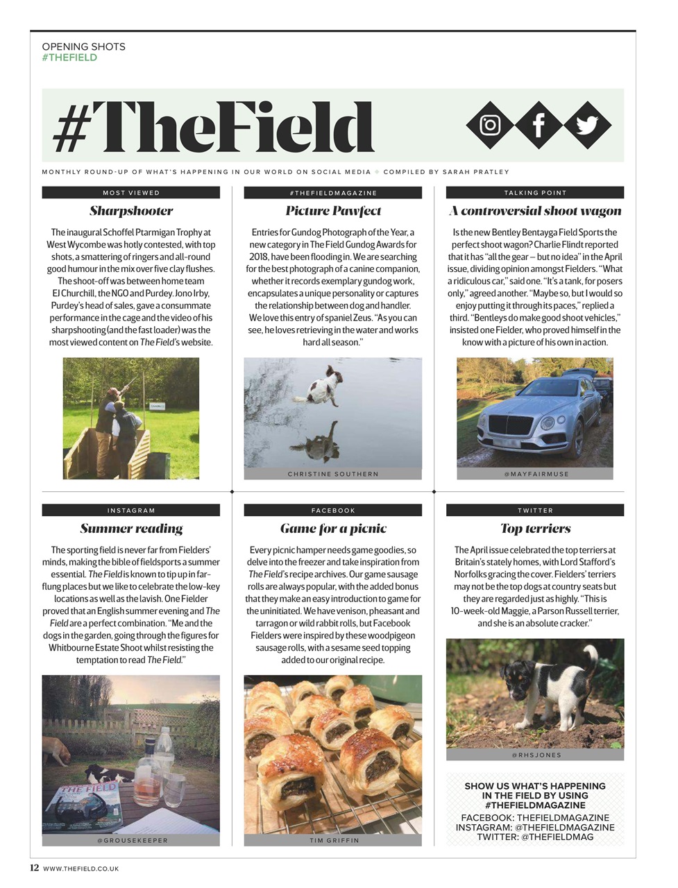 The Field Preview Pages