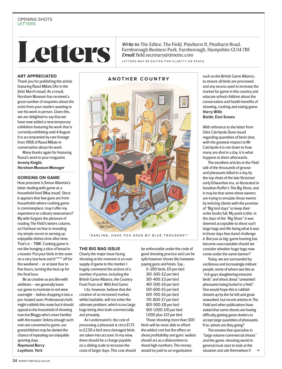 The Field Preview Pages