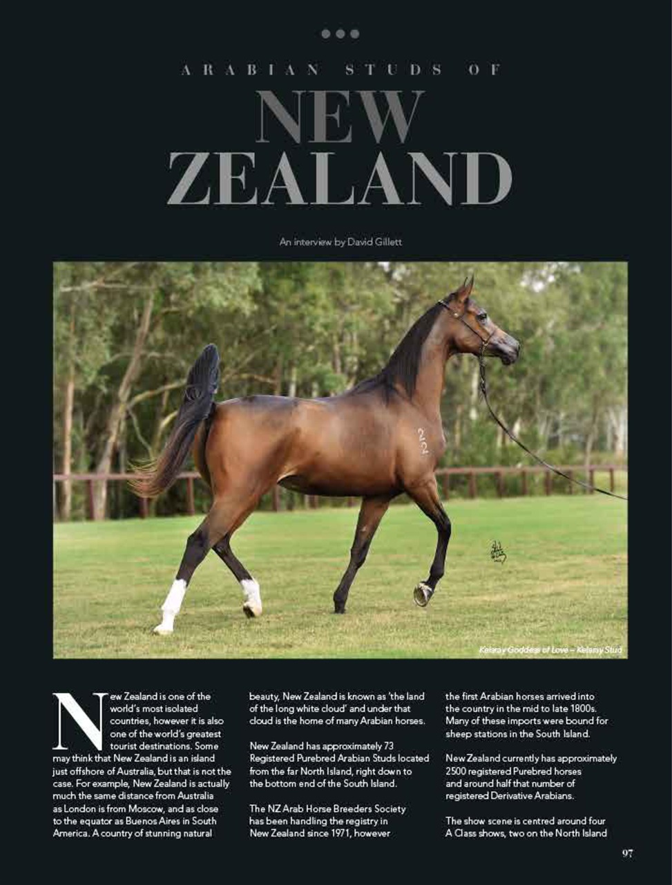 Arabian Studs & Stallions Preview Pages