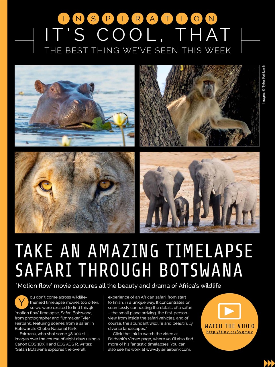 Photography Week Preview Pages