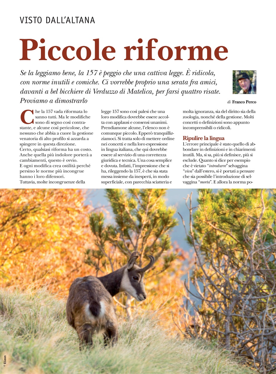 Caccia Magazine Preview Pages