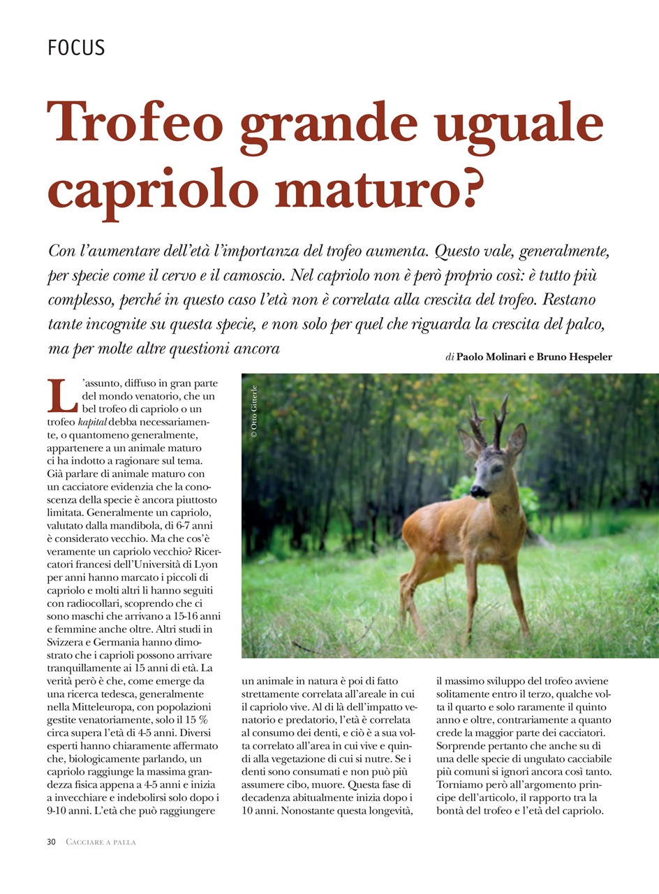 Caccia Magazine Preview Pages