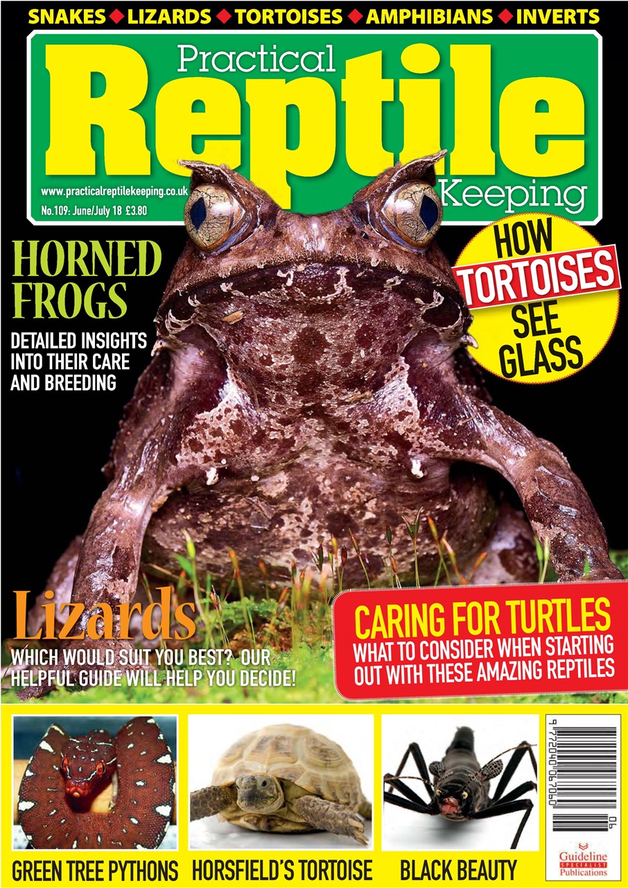 Practical Reptile Keeping Preview Pages
