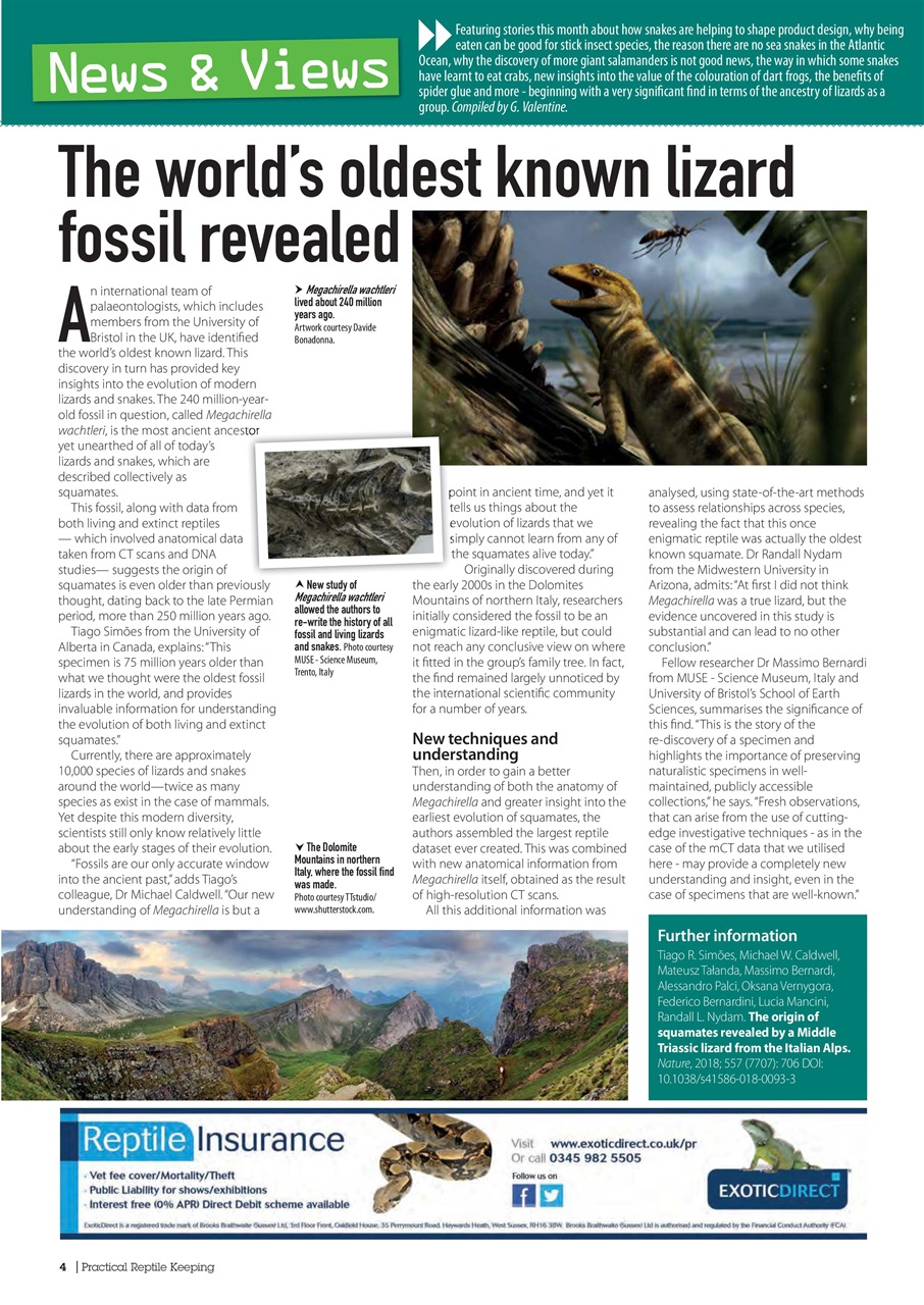 Practical Reptile Keeping Preview Pages