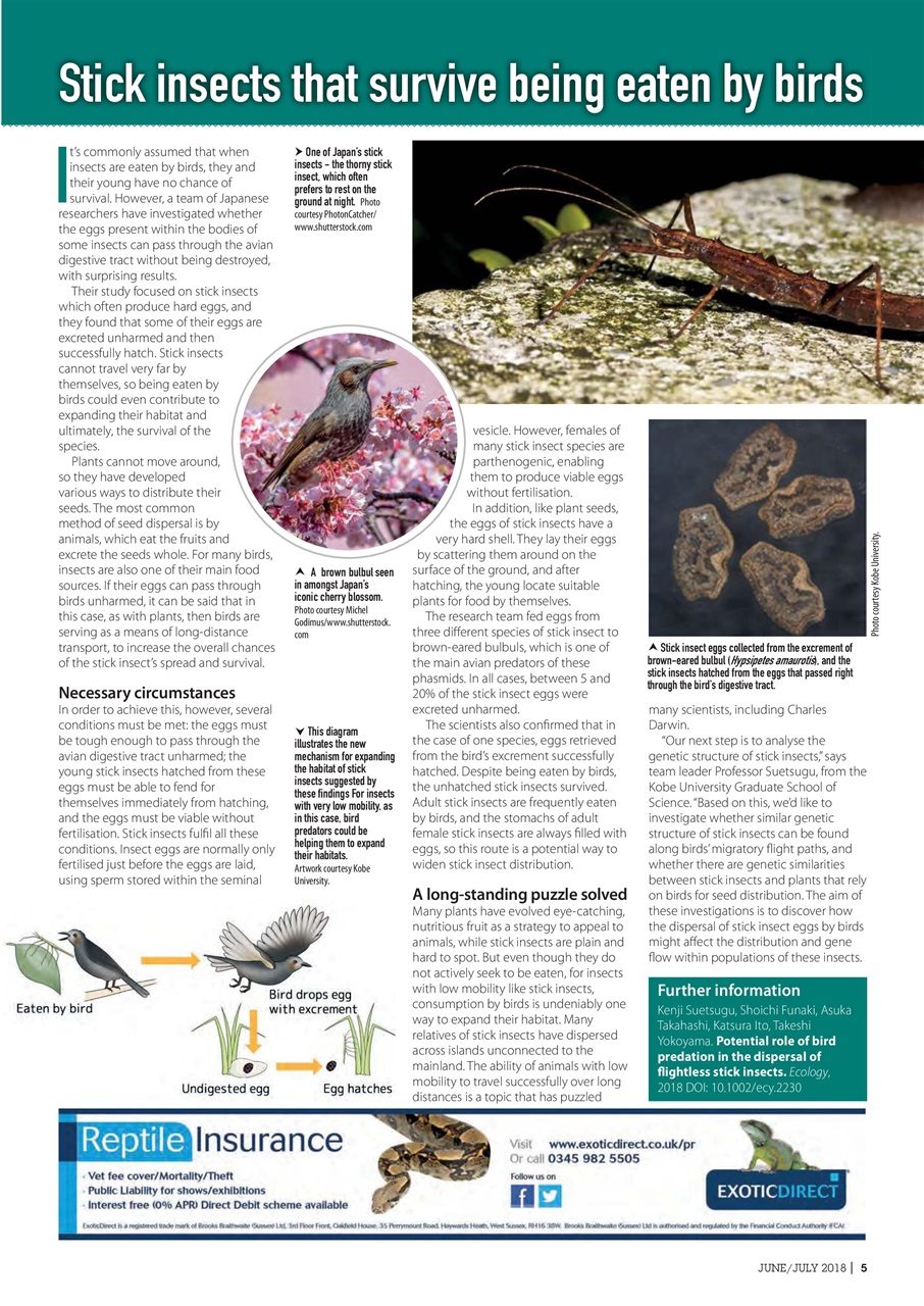 Practical Reptile Keeping Preview Pages