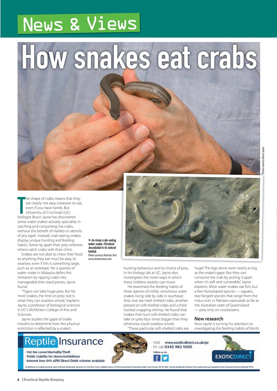 Practical Reptile Keeping Preview Pages