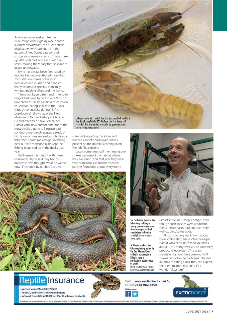 Practical Reptile Keeping Preview Pages