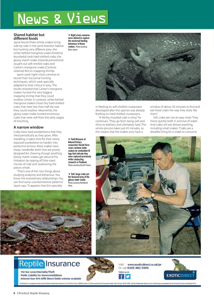 Practical Reptile Keeping Preview Pages