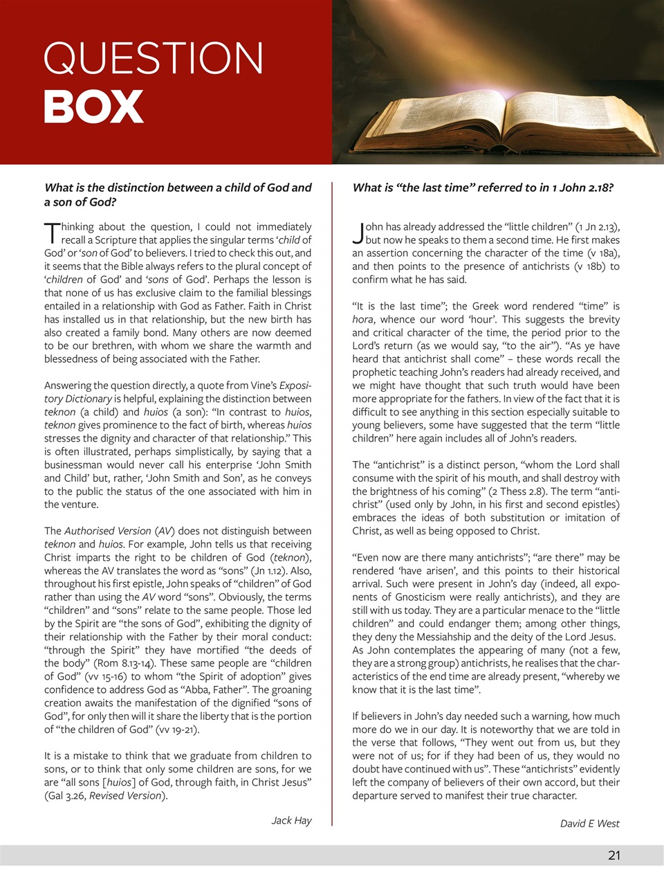 Believer Magazine Preview Pages