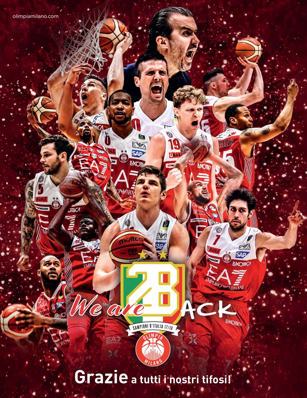 Superbasket Preview Pages