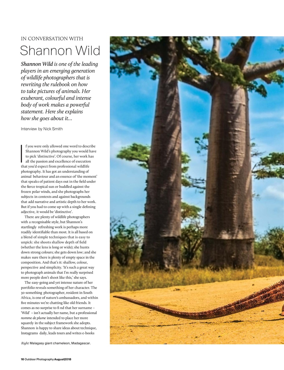 Outdoor Photography Preview Pages