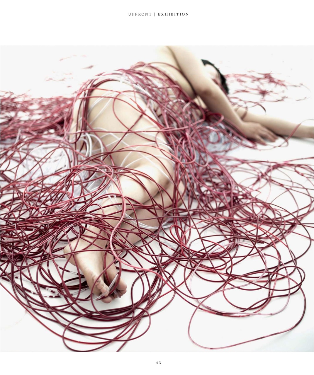 Art Collector Preview Pages