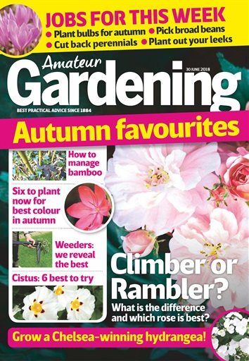 Amateur Gardening issue 