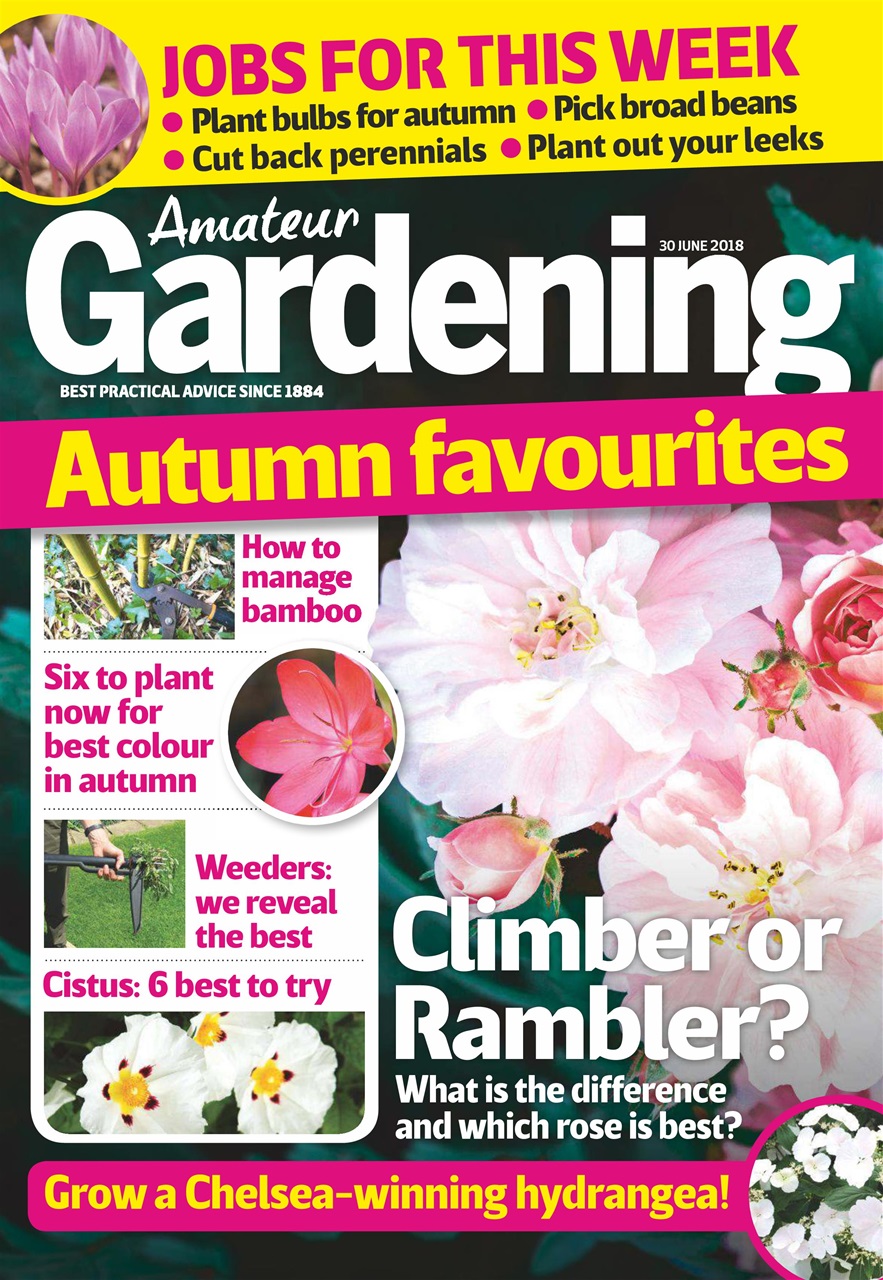 Amateur Gardening Preview Pages