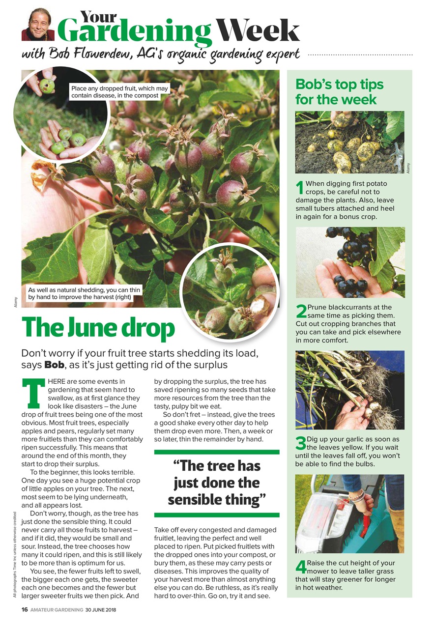 Amateur Gardening Preview Pages