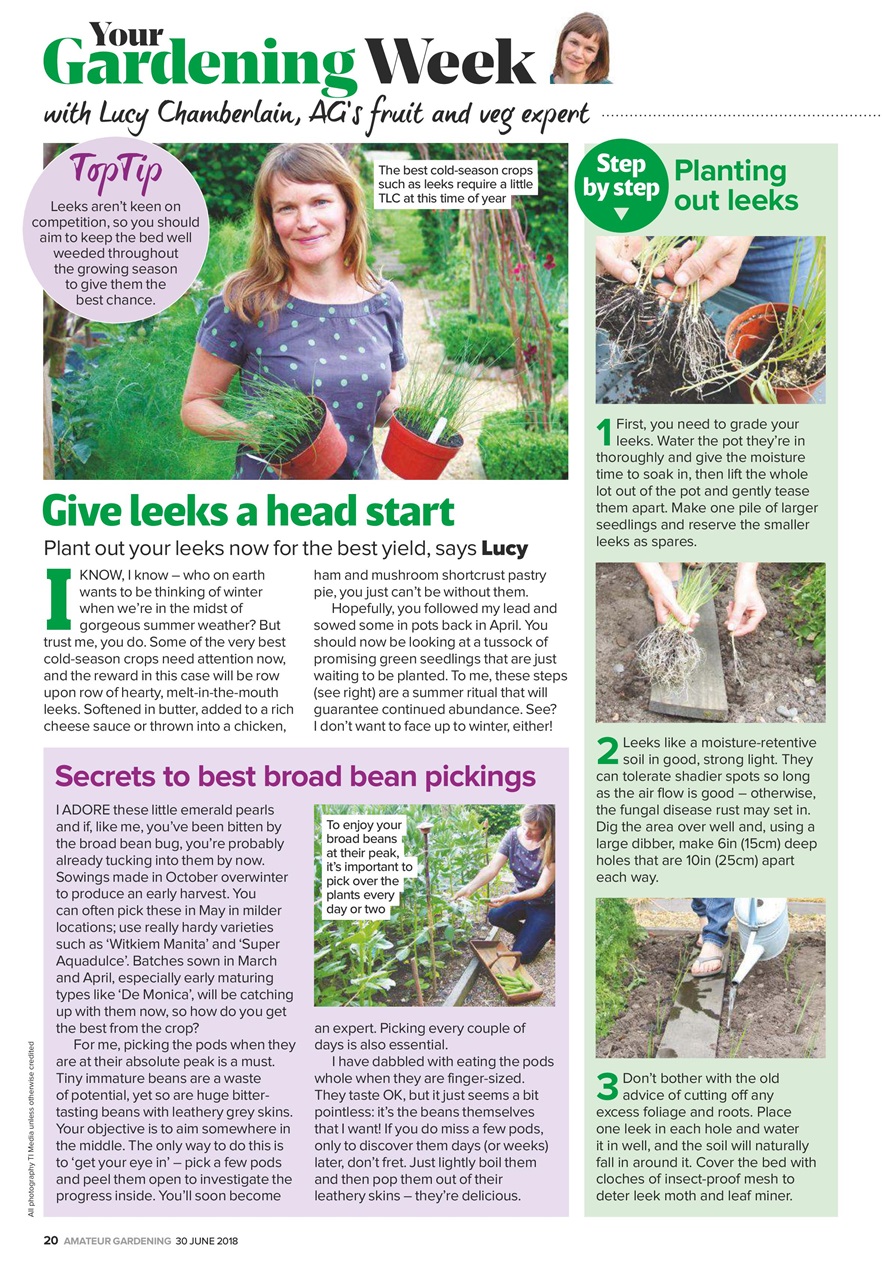 Amateur Gardening Preview Pages
